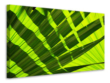 Load image into Gallery viewer, Canvas print The palm leaf in XL
