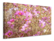 Canvas print The jewelry basket Cosmea