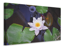 Load image into Gallery viewer, Canvas print The lily pad in white
