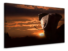 Load image into Gallery viewer, Canvas print Towards the sunset

