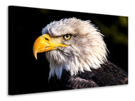 Canvas print The eagle head
