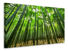 Load image into Gallery viewer, Canvas print The bamboo forest
