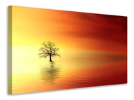 Canvas print The tree in the water