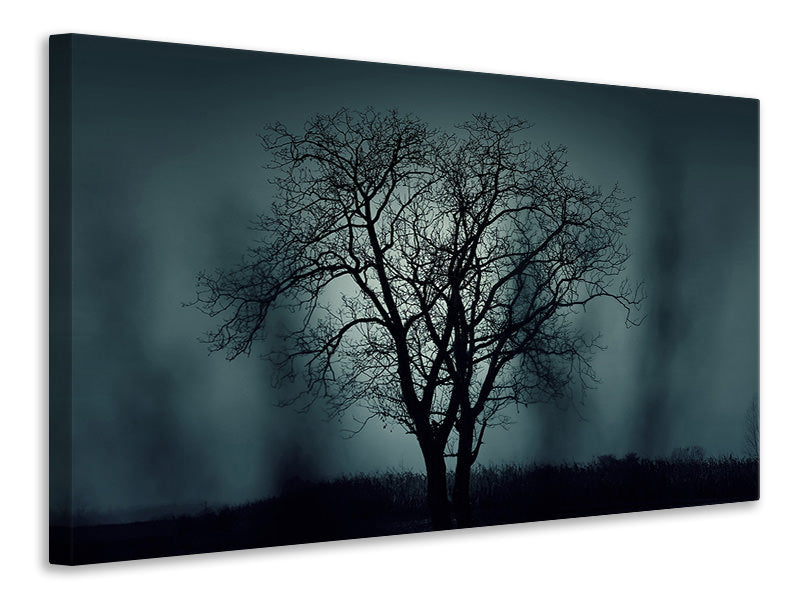 Canvas print The tree in darkness