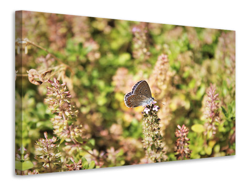 Canvas print The blue