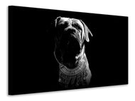 Canvas print The Boerboel sw