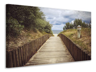 Canvas print The dunes way