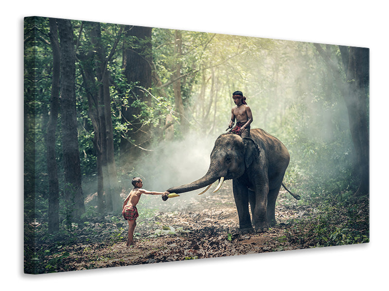 Canvas print The elephant at work