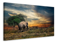 Canvas print The elephant in the sunset