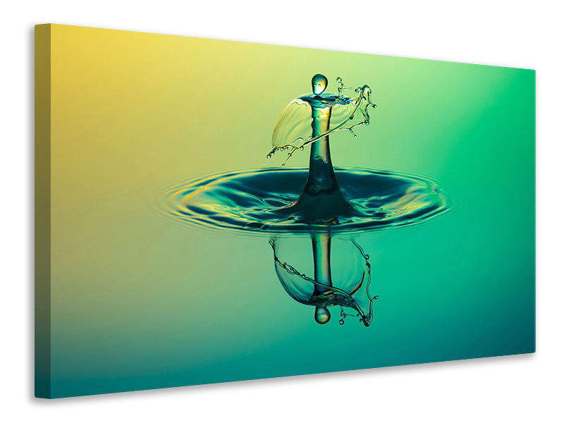 Canvas print The fascinating drop of water