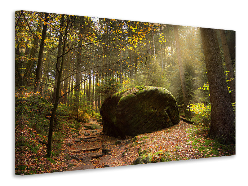 Canvas print The rock in the forest