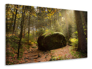 Canvas print The rock in the forest