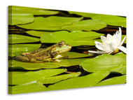 Canvas print The frog and the water lily