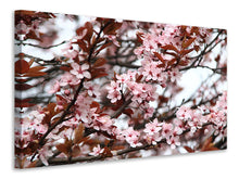 Load image into Gallery viewer, Canvas print Spring is here

