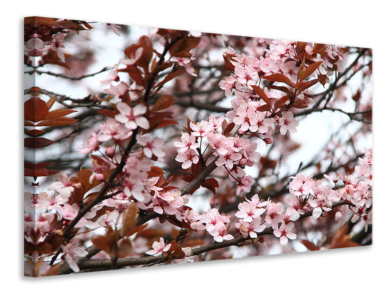 Canvas print Spring is here
