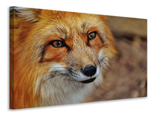 Load image into Gallery viewer, Canvas print The Fox

