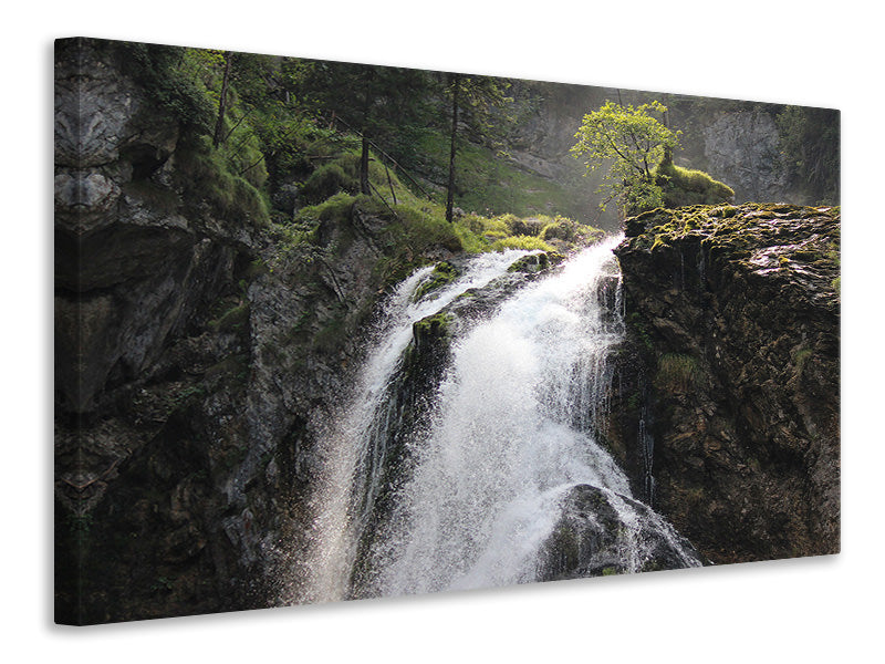 Canvas print The Gollinger waterfall