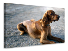 Load image into Gallery viewer, Canvas print The Irish Setter
