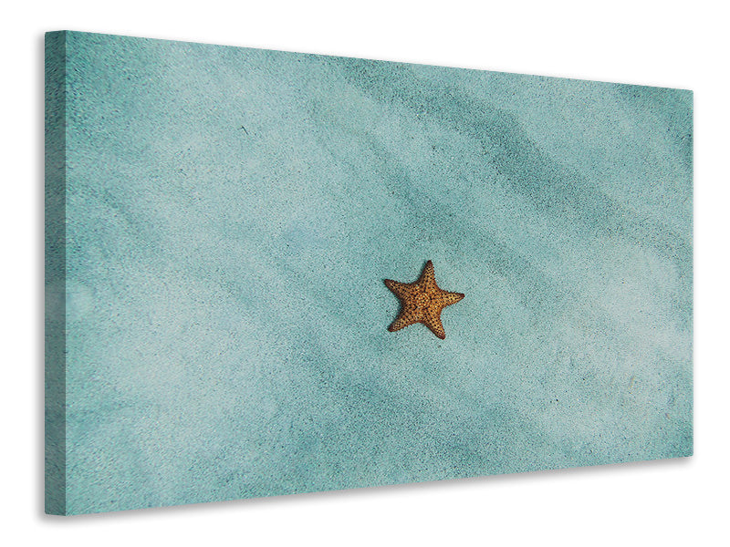 Canvas print The little starfish
