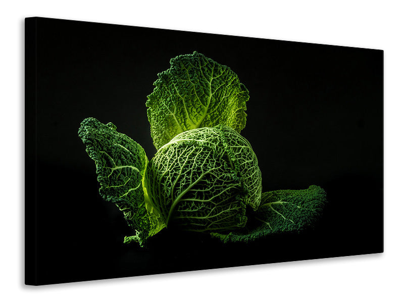 Canvas print The cabbage