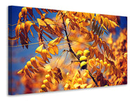 Canvas print The walnut XL