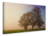 Canvas print The crooked tree