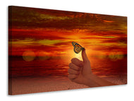 Canvas print The butterfly in the evening light