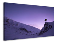 Canvas print The snowwalker