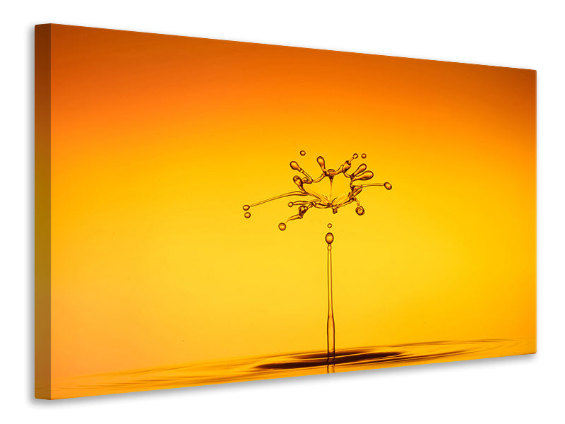 Canvas print The jumping drop