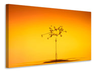 Canvas print The jumping drop