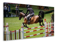 Canvas print The show jumper