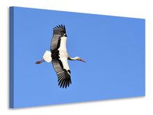 Load image into Gallery viewer, Canvas print The stork in action
