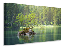 Load image into Gallery viewer, Canvas print The pond in the forest
