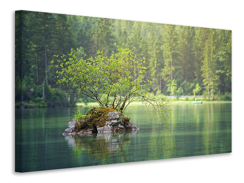 Canvas print The pond in the forest