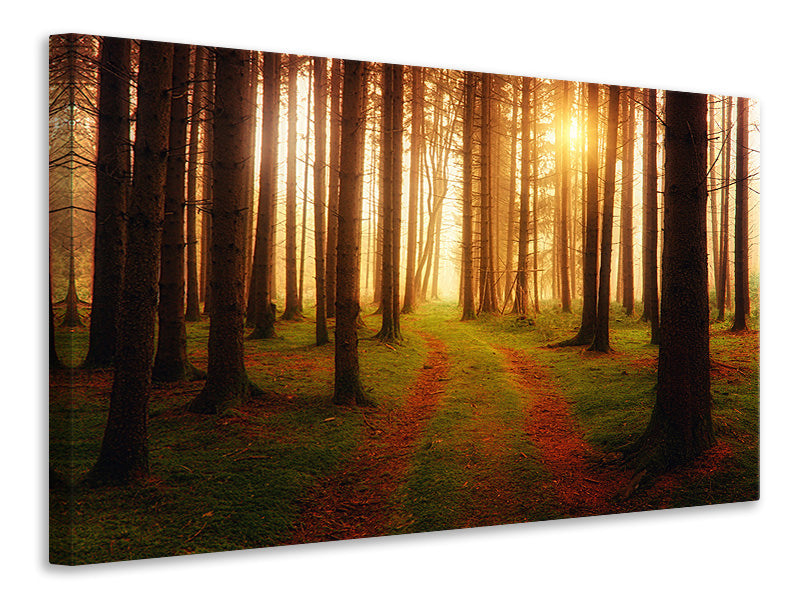 Canvas print The unknown way