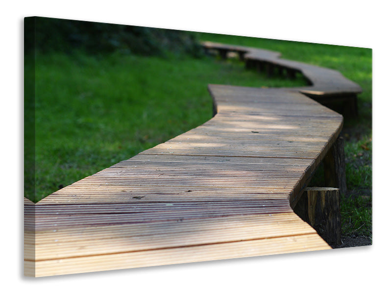 Canvas print The path in the park