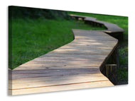 Canvas print The path in the park