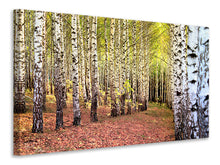 Load image into Gallery viewer, Canvas print the path between birches

