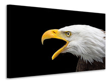 Load image into Gallery viewer, Canvas print The bald eagle
