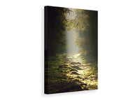 Canvas print The wild way