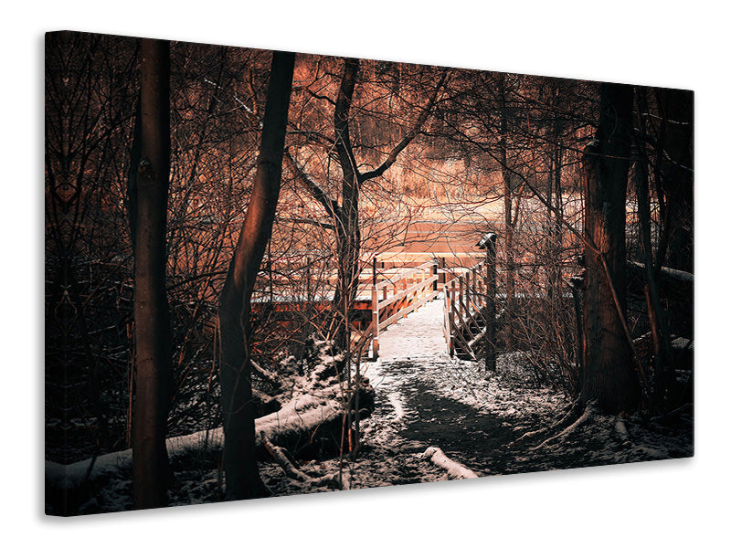 Canvas print Winter is coming