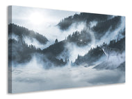 Canvas print The wolf in the woods