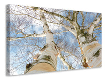 Load image into Gallery viewer, Canvas print The 2 birches
