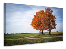 Load image into Gallery viewer, Canvas print The 3 trees
