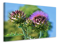 Canvas print The artichoke XL