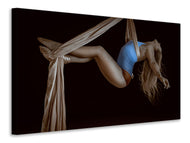 Canvas print The artist
