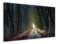 Canvas print The tree avenue