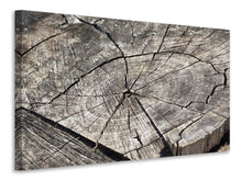 Load image into Gallery viewer, Canvas print The tree rings

