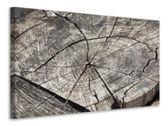 Canvas print The tree rings