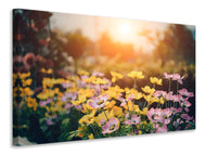 Canvas print The flowers
